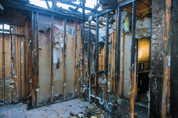 Professional Fire Damage Removal technician working in Trumbauersville, PA